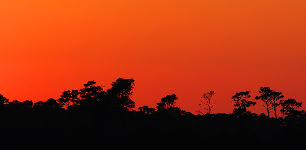 Chincoteague sunset, Chincoteague National Wildlife Refuge… Flickr