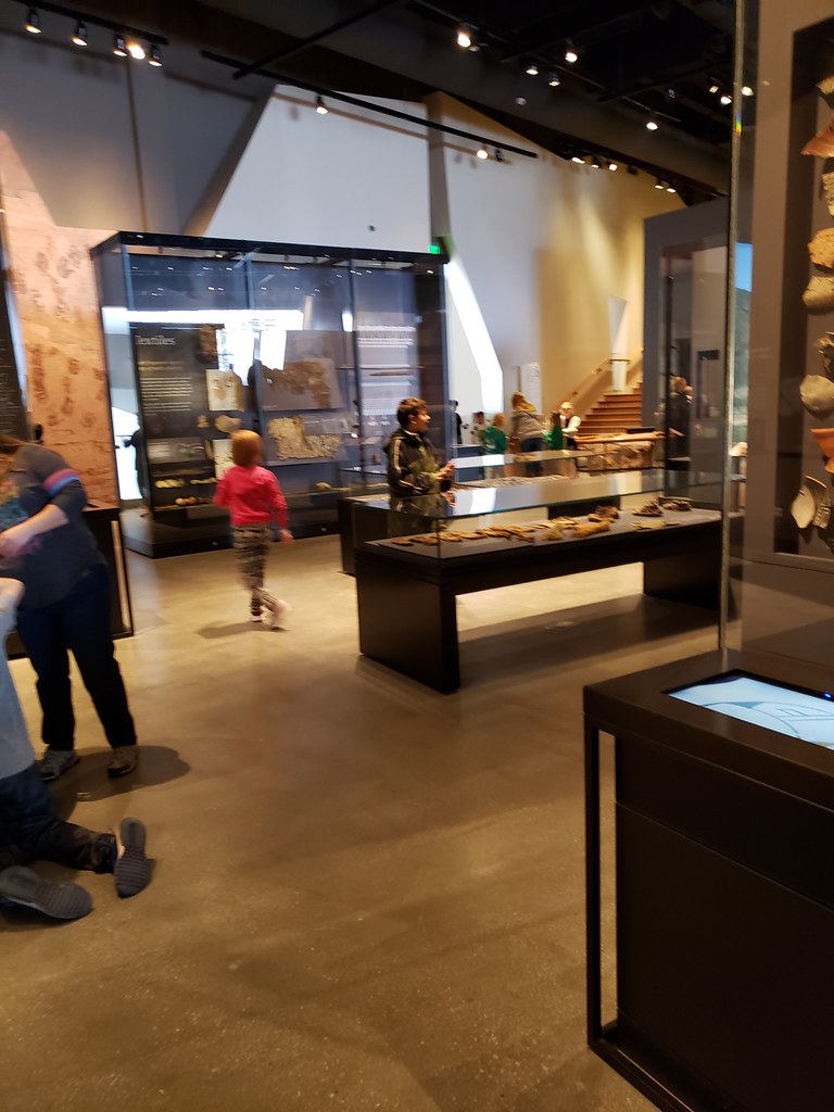 Ethan School field Trip Flickr