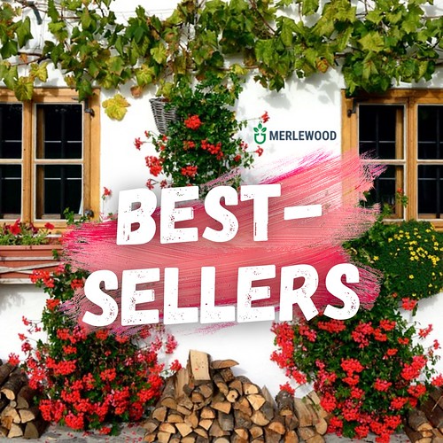 Home and Garden Online Store Best Sellers Merlewood Flickr