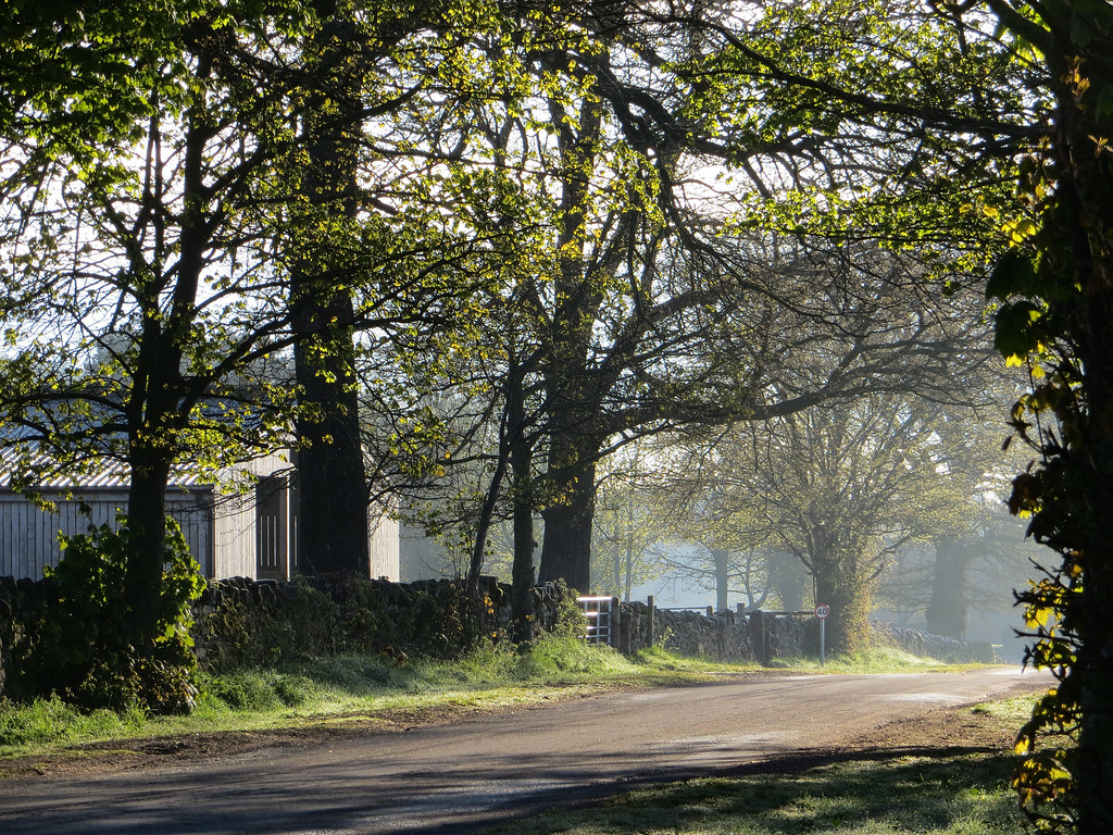 May Meanderings 4 Carleton, Penrith Carleton Hill Road Martin