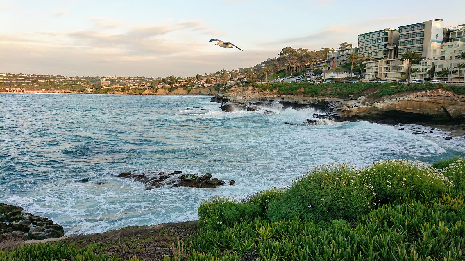 La Jolla Cove, CA Flickr