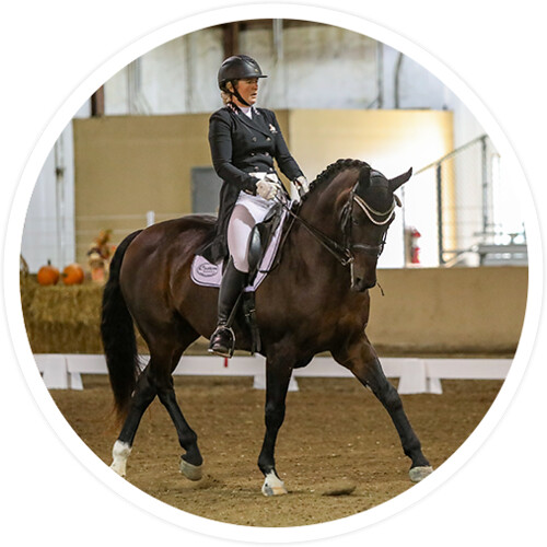 Tempo farm horse Tempo Farm offers dressage & sport horse … Flickr
