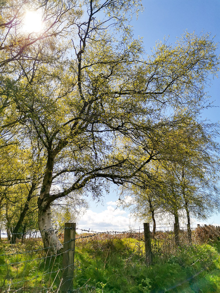 Old Ironstone Road, England Old Ironstone Road, England Flickr