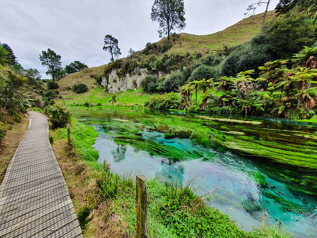 Blue Springs Putaruru, New Zealand Richard Joseph Flickr