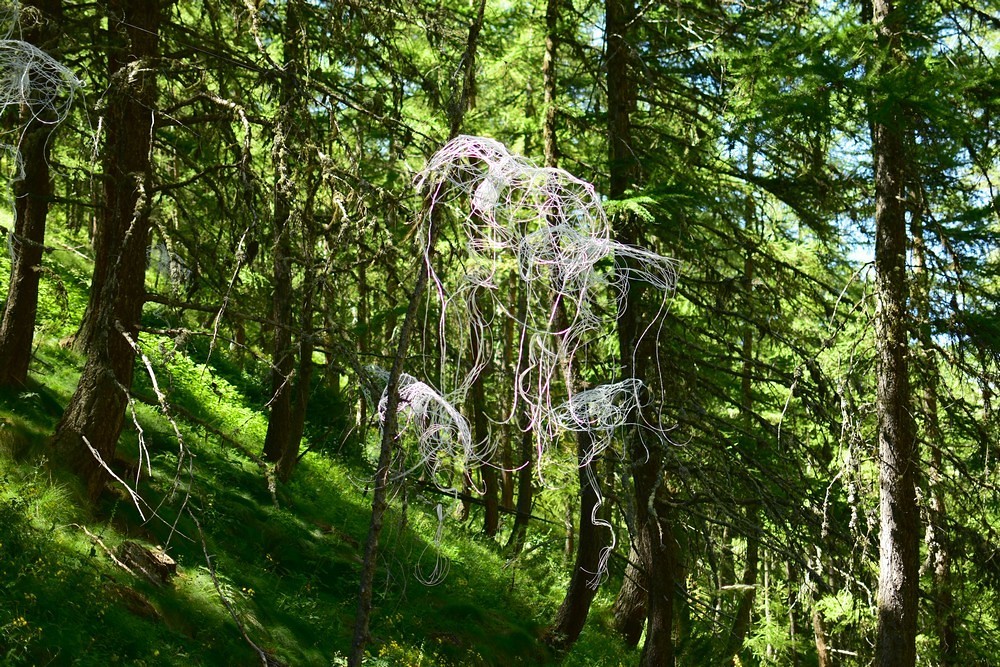 Le chemin des fées Crévoux_163 (FILEminimizer) Franck FAVIER Flickr