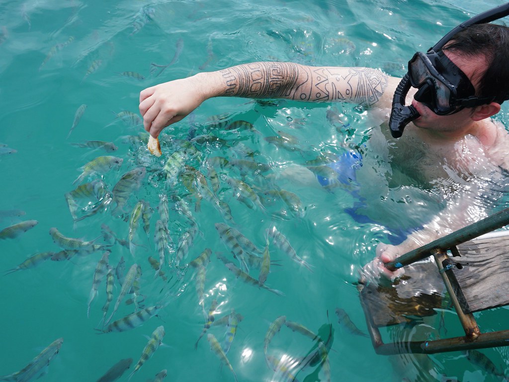 koh samui snorkelling Tiffany Flickr