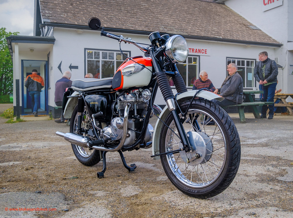 1966 Triumph Tiger 90 Silver Ball Cafe Blokes and Bikes Flickr