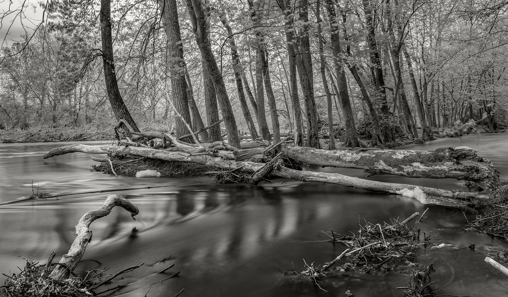South Branch of the Potomac River near Moorefield, WV Flickr
