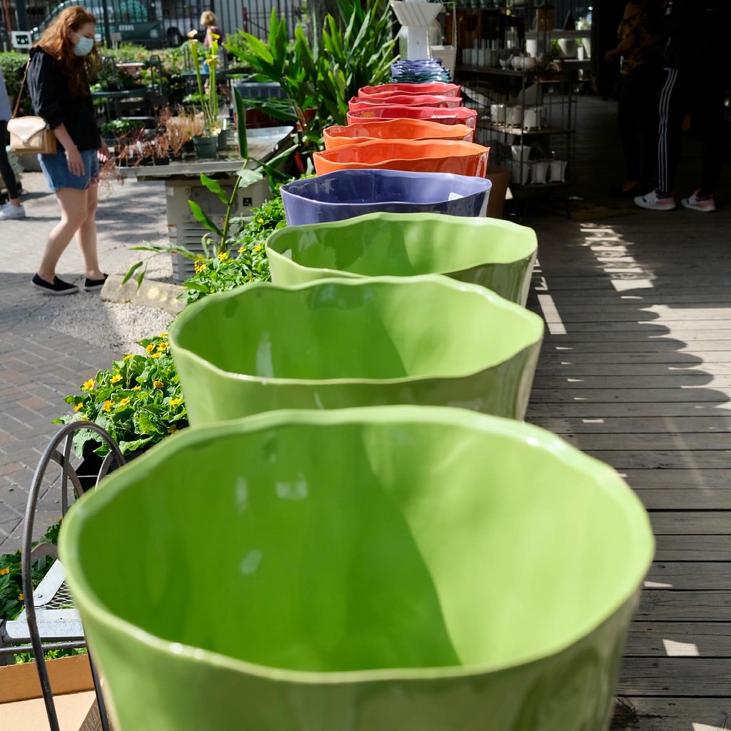 Buchanan’s Native Plants A lovely nursery in Houston Flickr