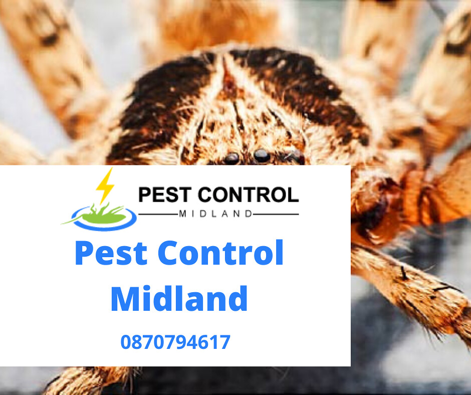 Pest Control Midland Searching for Pest Control Midland? P… Flickr