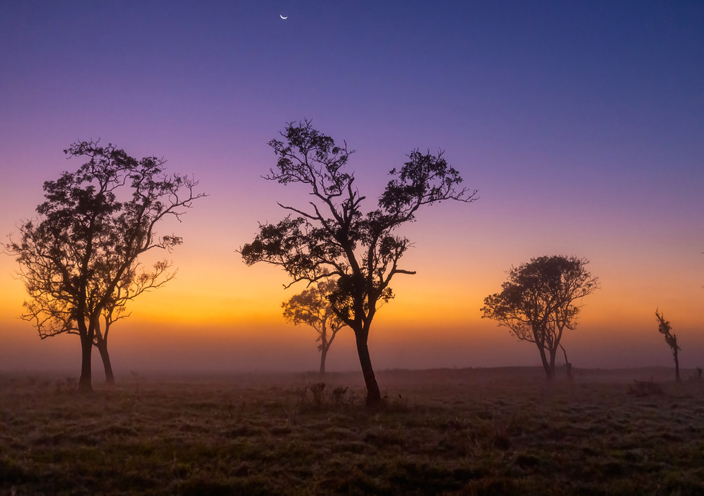 Sunrise Fogg Dam Northern Territory a photo on Flickriver
