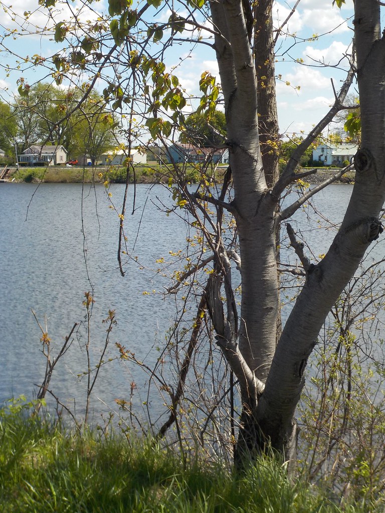 LAKE ALICE Waterport, NY (Orleans County) Carolyn Flickr