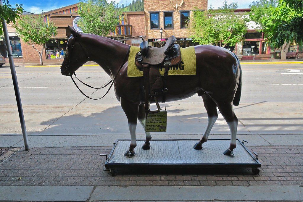 F.M. Light and Sons, Steamboat Springs, CO Horse statue in… Flickr