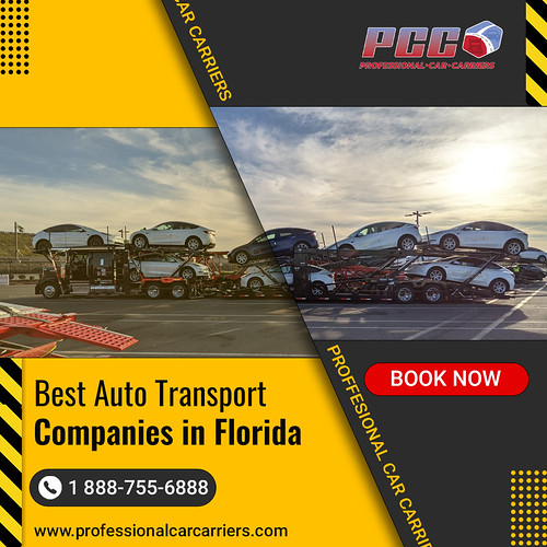 Best Auto Transport Companies in Florida Professional Car … Flickr
