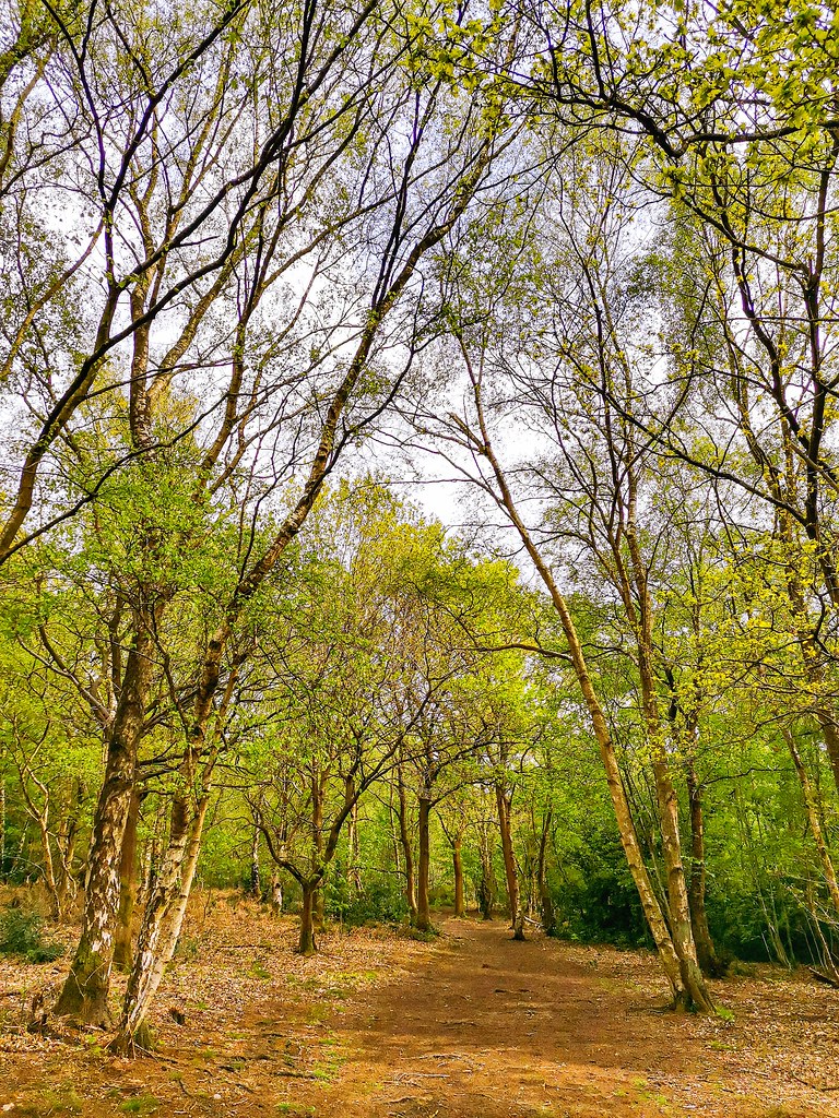 0ld Ironstone Road Old Ironstone Road cattan2011 Flickr