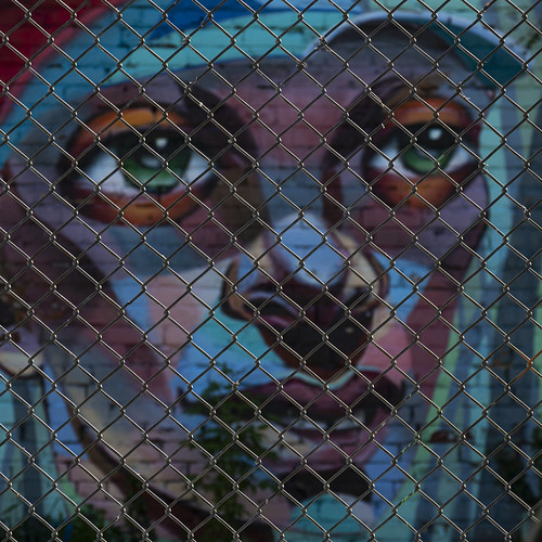 Wall mural, Kensington Market, Toronto Timothy Neesam Flickr