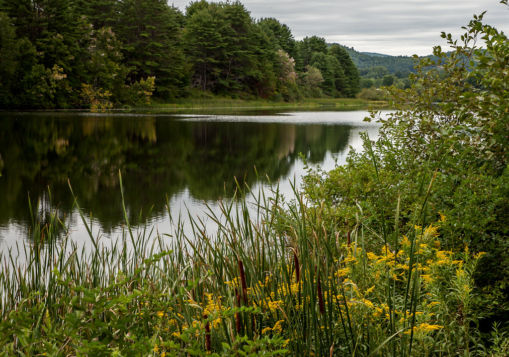 Connecticut River shoreline, near Hanover, New Hampshire, … Flickr