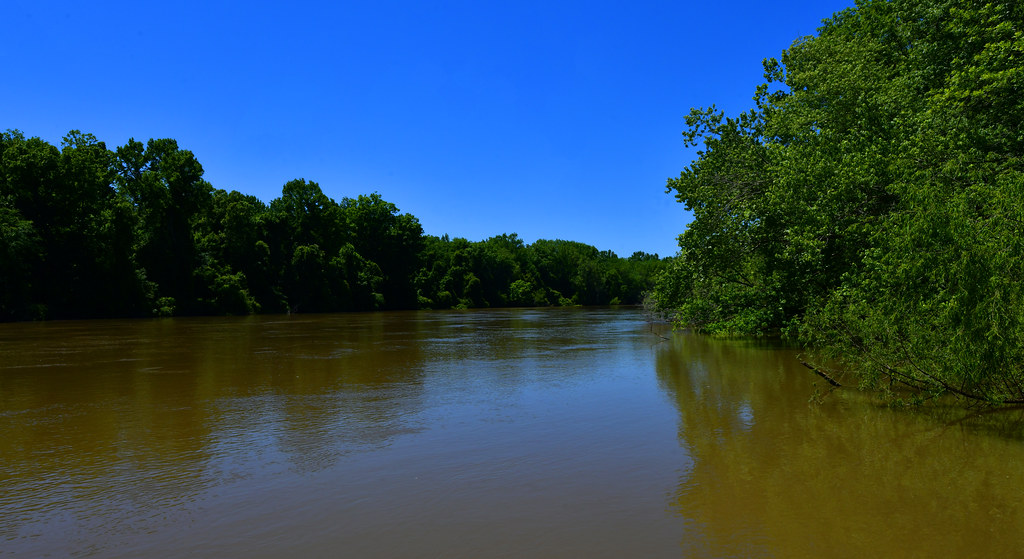 Congaree River Congaree NP South Carolina Dom Nessi Flickr