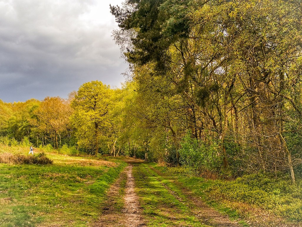 Ironstone Road Ironstone Road cattan2011 Flickr