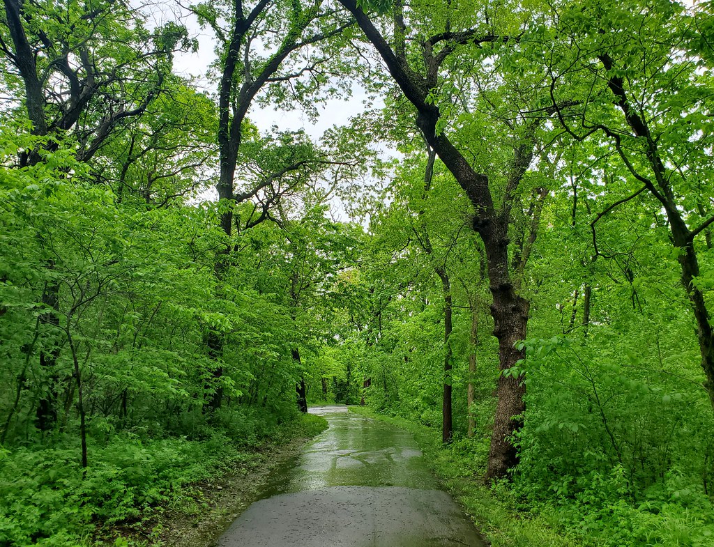 Wooded trail inside Kill Creek Park Johnson County History… Flickr