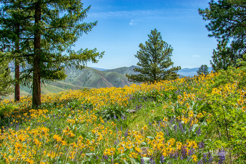 So Much Color Cashmere Canyon TrailCashmere, Washington Rick