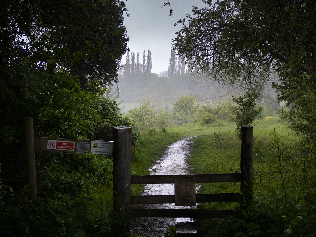Hambrook Marshes in the rain Canterbury Kent, England UK… Flickr