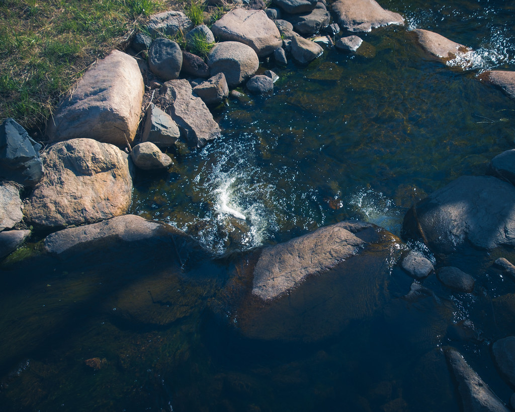Chester Creek, Duluth 5/14/21 Sharon Mollerus Flickr