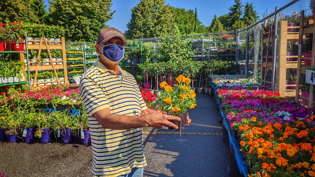 Superstore Garden Centre Blog post today. dennissylvesterhâ€¦ Flickr