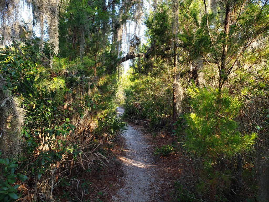 Little Manatee River State Park Enjoying a Saturday mornin… Flickr