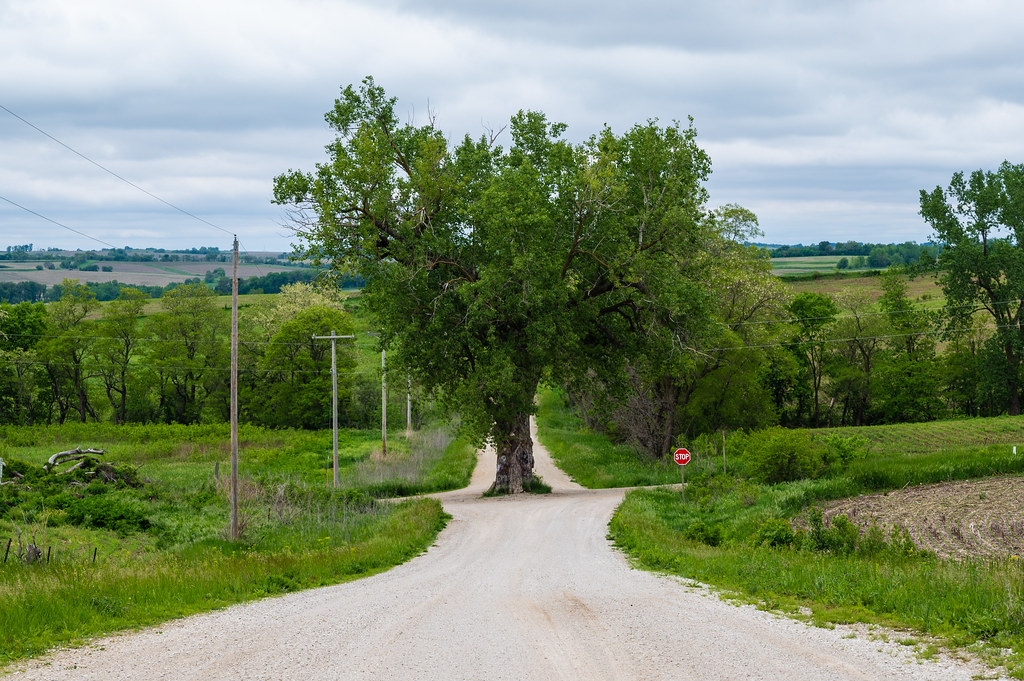 Tree in the Road This is a Southwest Iowa landmark that is… Flickr