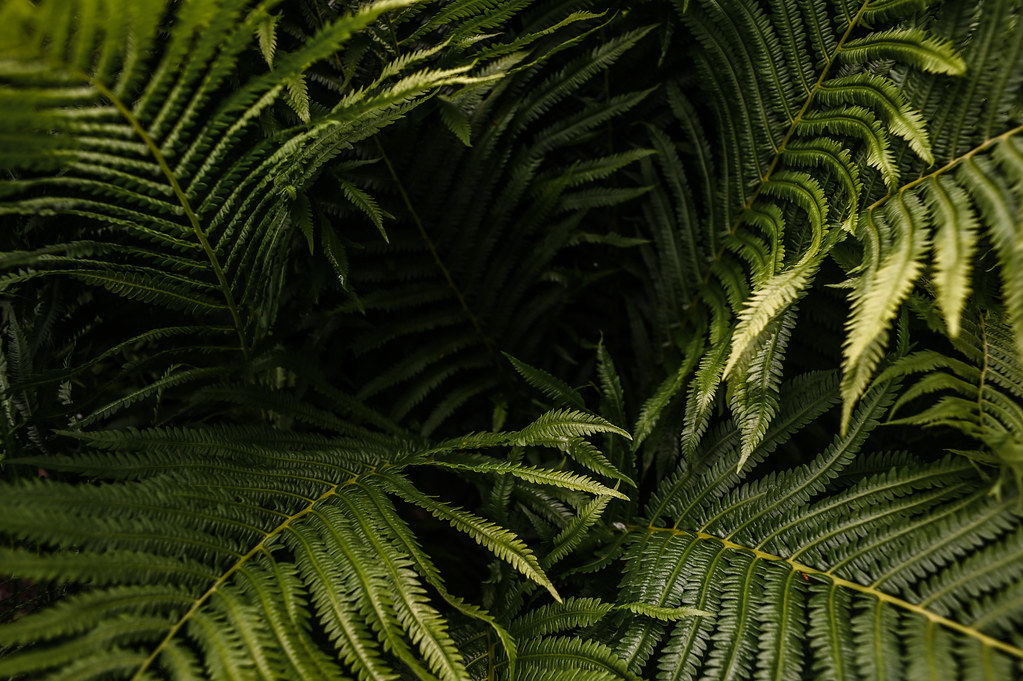 Innisfree gardens minka6 Flickr