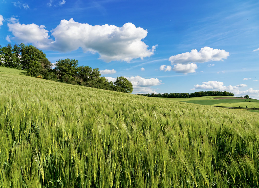 blue_green_landscape Jörg Esper Flickr