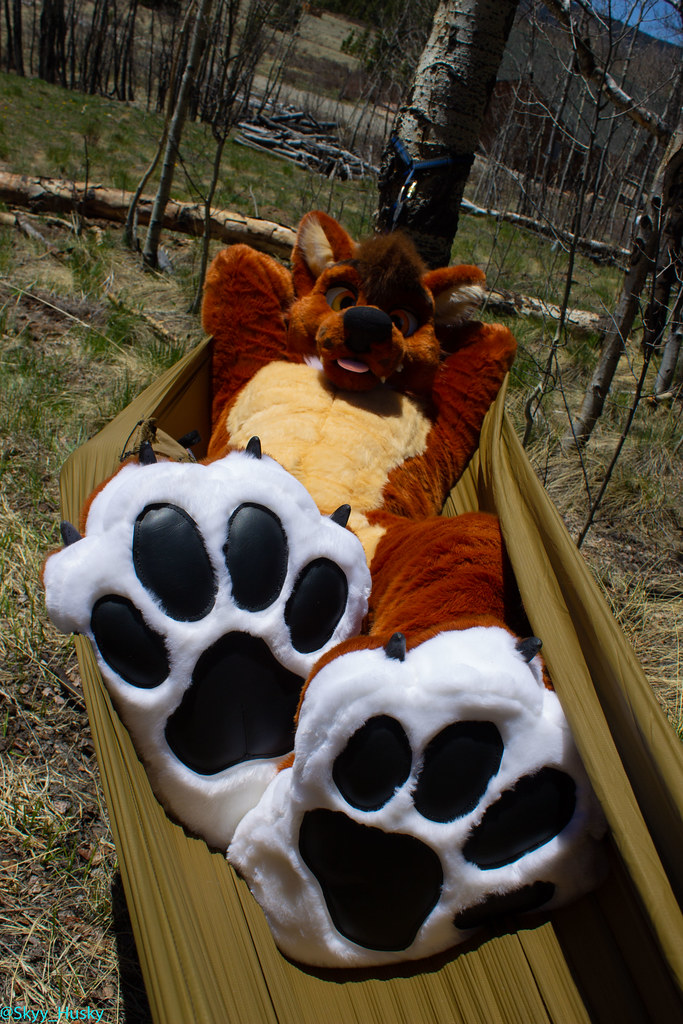 Fairplay, CO May 2021 Flickr