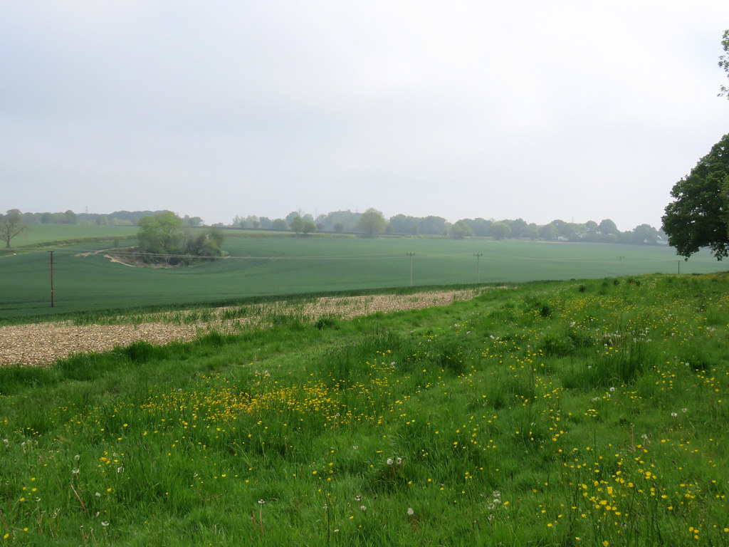 Woodhall Farm, Hemel Hempstead 2021 A walk from Woodhall F… Flickr