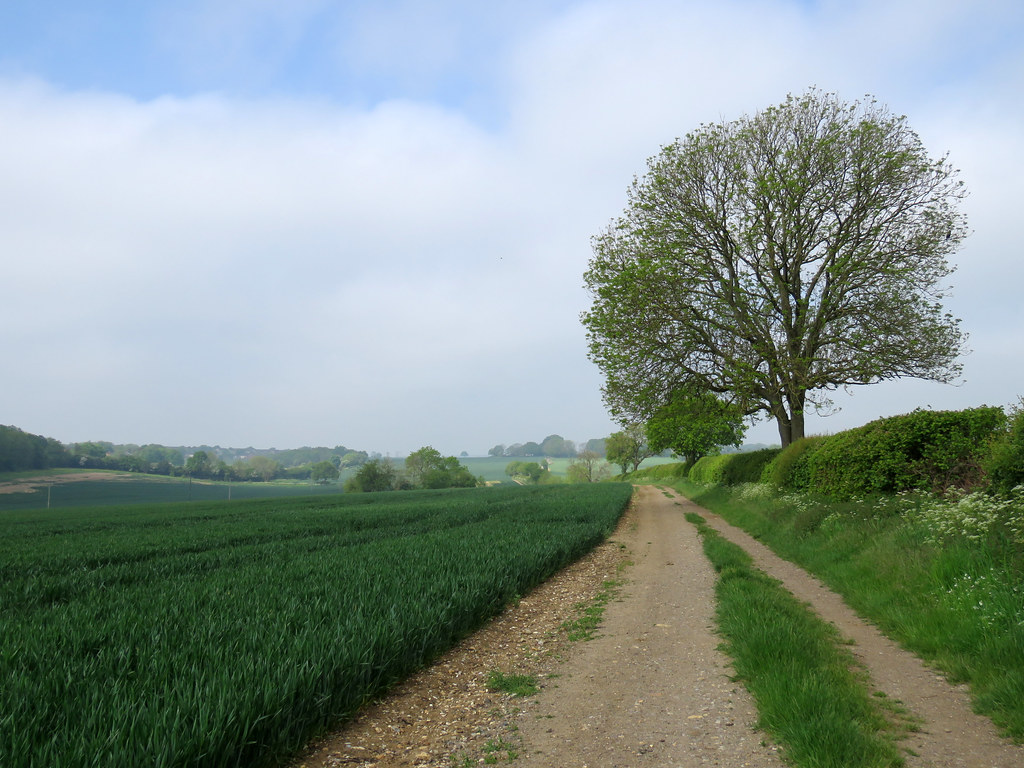 Woodhall Farm, Hemel Hempstead 2021 A walk from Woodhall F… Flickr