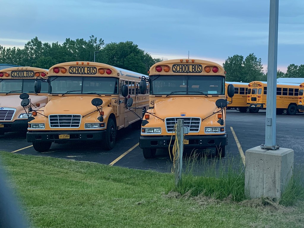 PhelpsClifton Springs CSD 45 & 46 1st Gen Bluebird Vis… Flickr