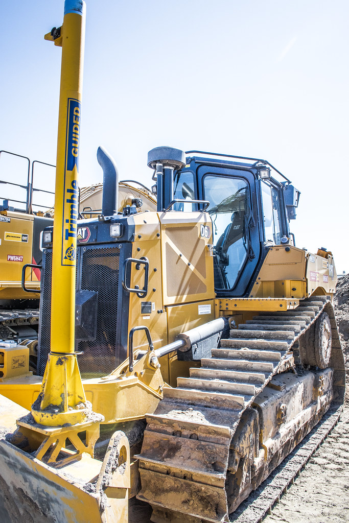 IMG_3482 Peterson Cat Flickr