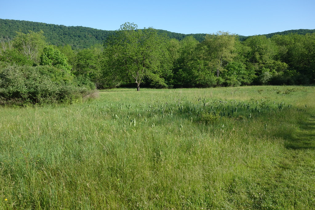 Williamsport Water Authority Trails Flickr