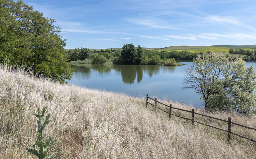 Bennington Lake This lake in Walla Walla is home to the an… Flickr