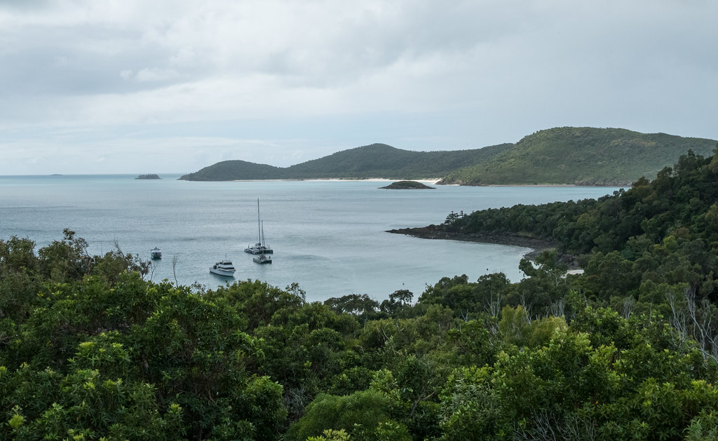 Whitsunday Island Coast Photographed on Whitsunday Island … Flickr
