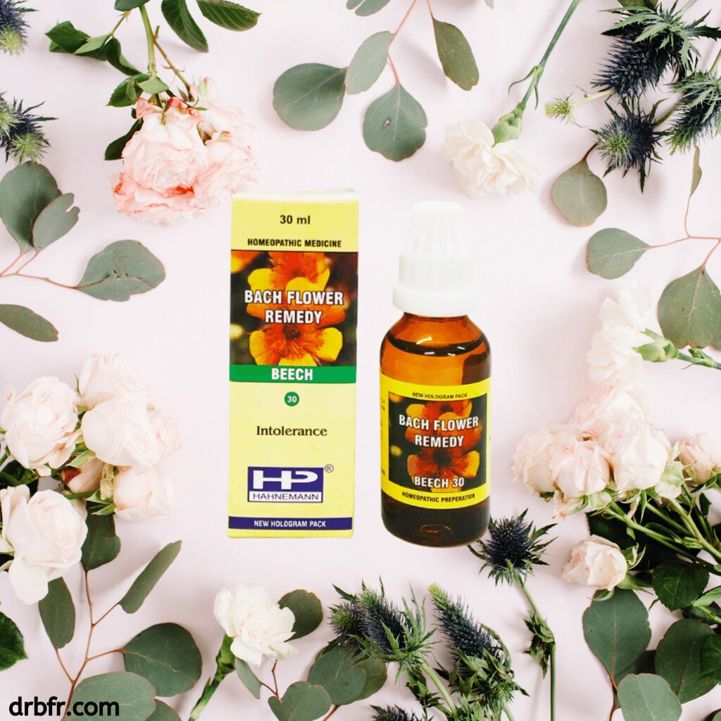 Natural Bach Flower RemediesBeech Doctor BFR Flickr