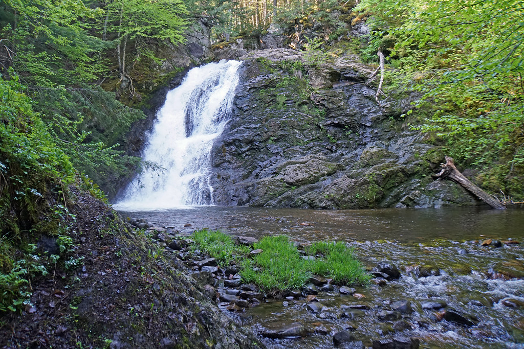 NS00050 Annandale Falls PLEASE, NO invitations or self … Flickr
