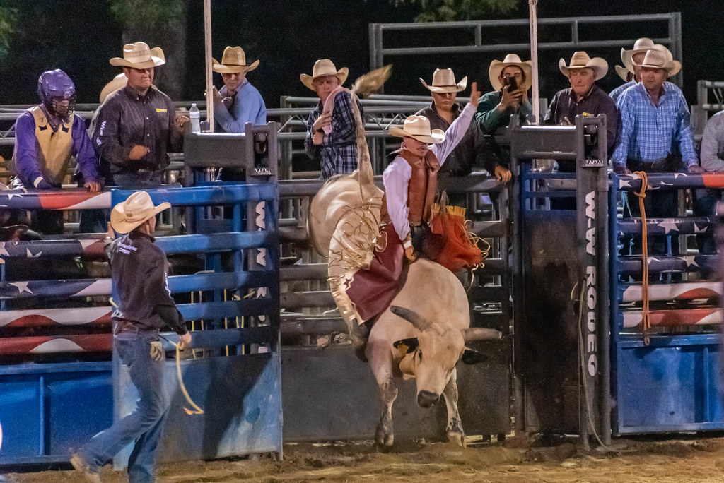 Shady Dale Rodeo 2021 Bull Riding Shady Dale 37t… Flickr