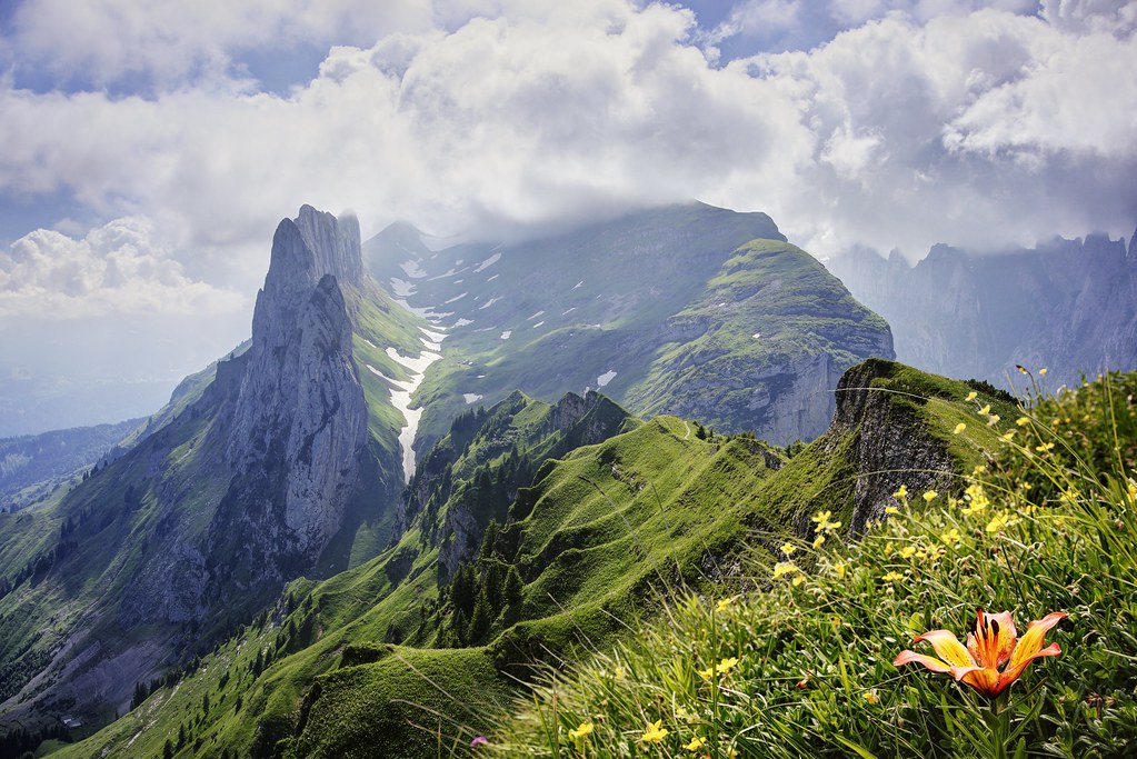 PDF: Amsterdam (NHB Modern Plays) (English Edition) Android