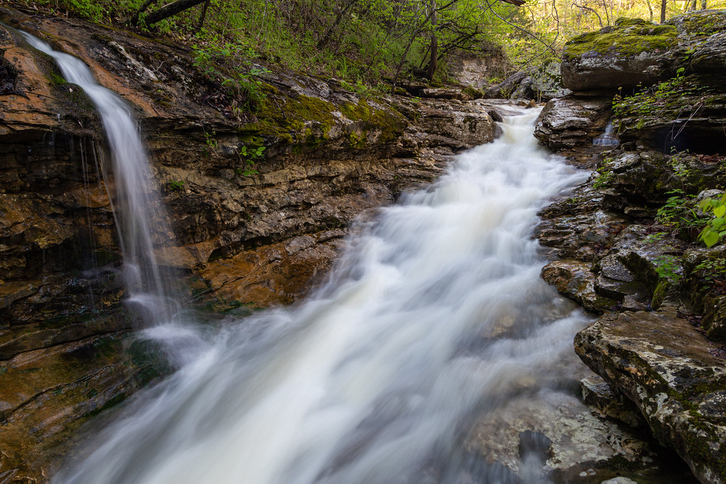 Broadwater Hollow Evening light hitting the trees above Br… Flickr