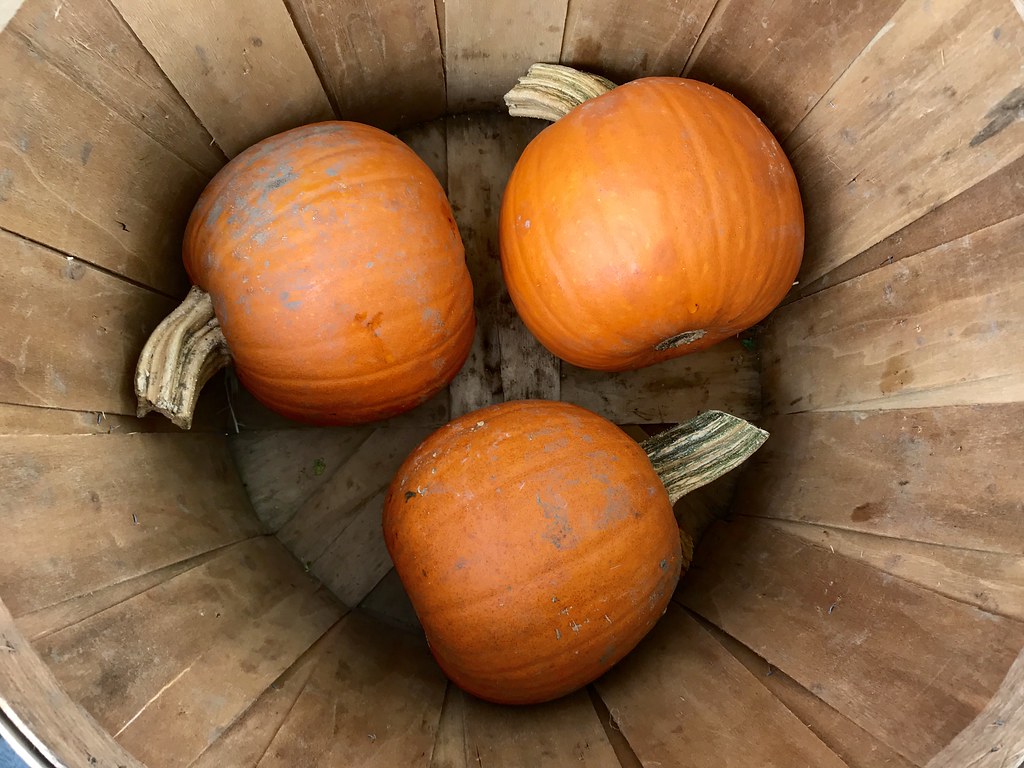 Downtown market 2019 CitySeed Flickr