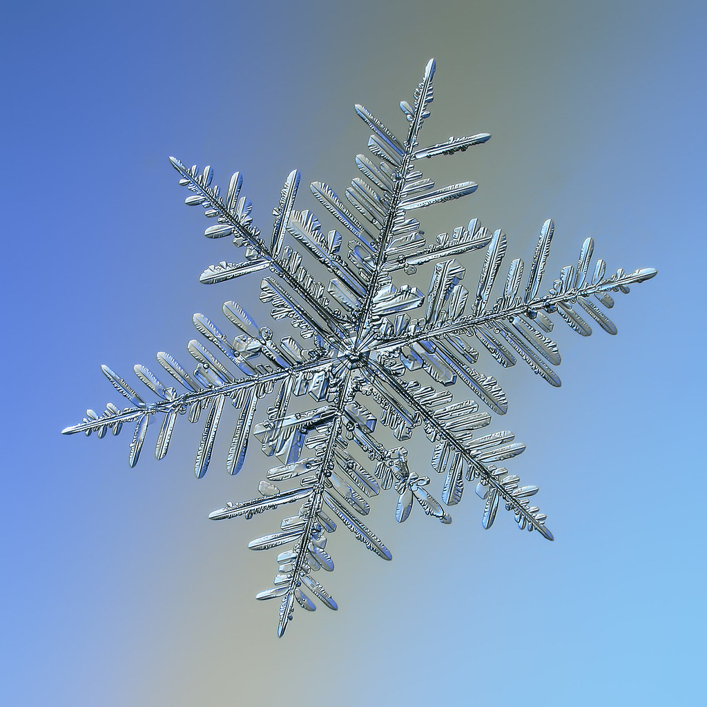 Snowflake Real snowflake macro photo. Ideas for home and o… Flickr