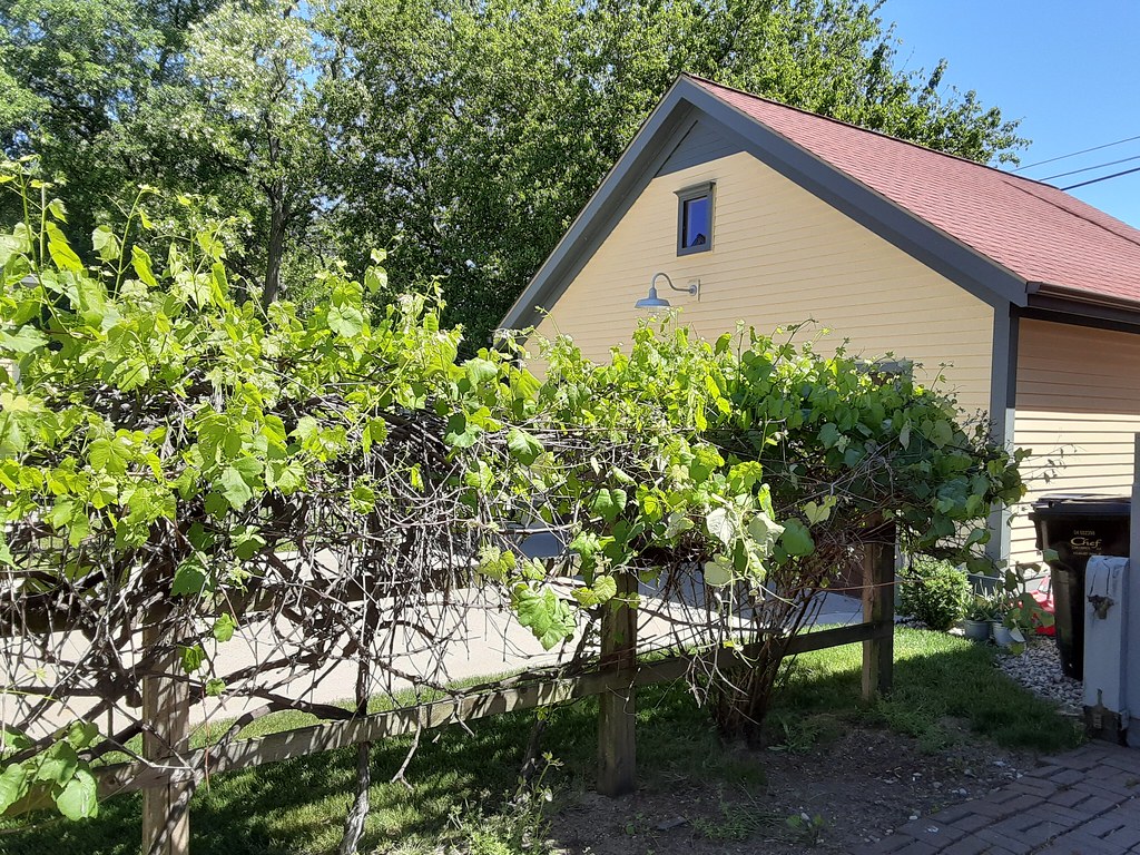 212 W. 9th ST, Holland, MI 49423 Holland, Michigan flickr.… Flickr