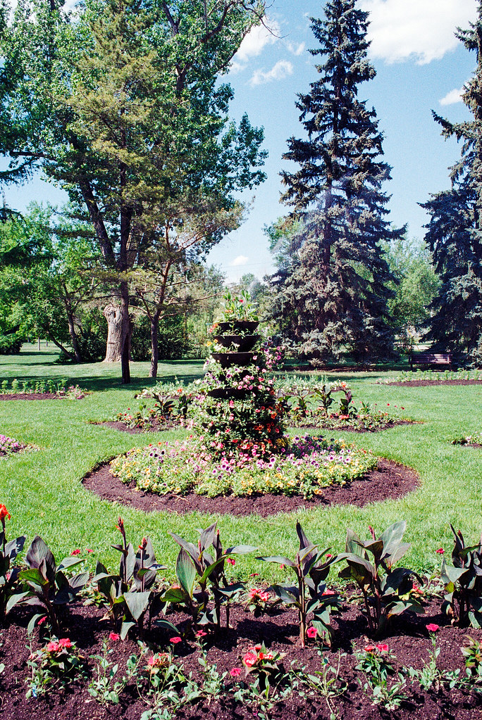 Stanley Park Flowere Stanley Park, Calgary Canon A1 / Kod… Flickr