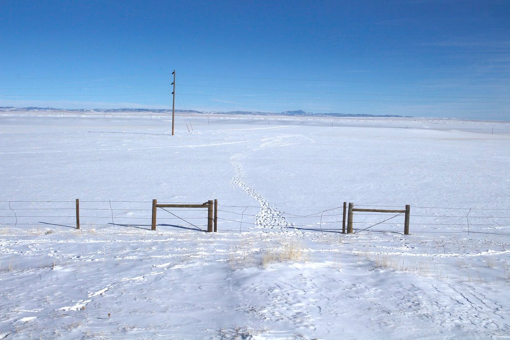 Elk Migration Signs, Shirley Basin, Wyoming A few elk deto… Flickr